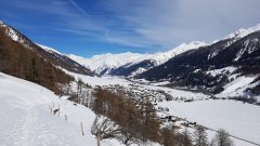 20190316_140726.jpg